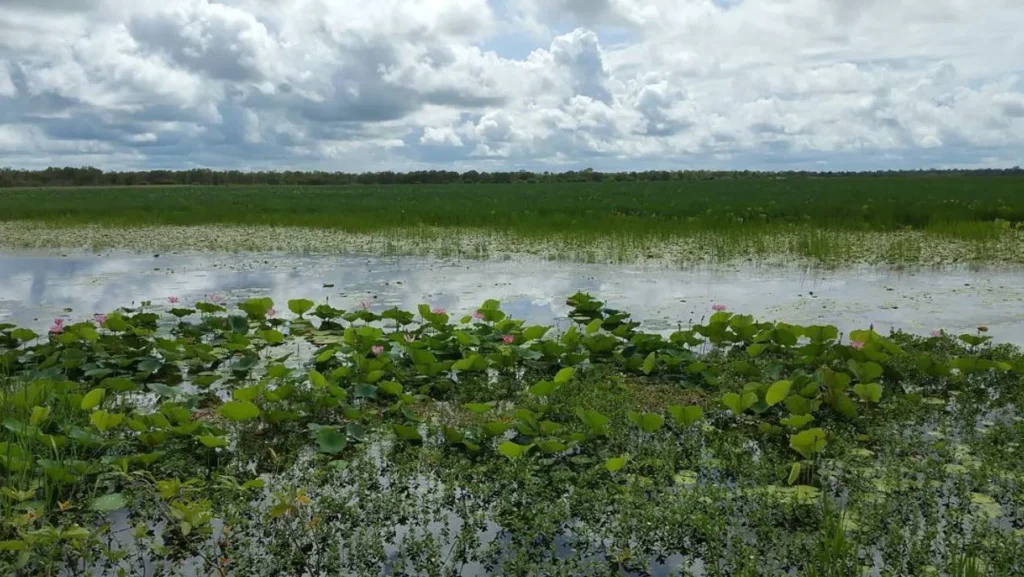 Kakadu National Park