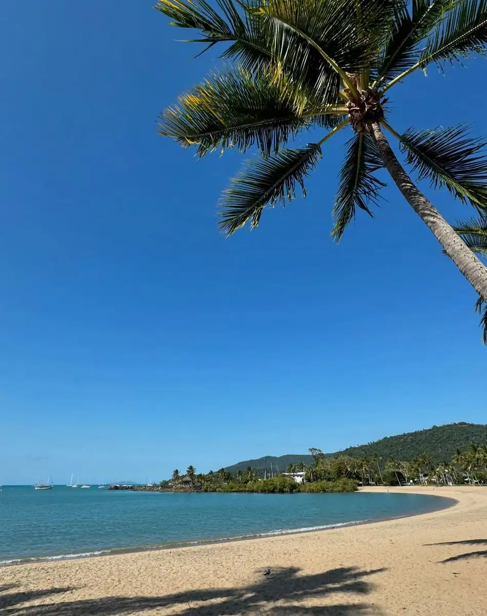 Reef–Rainforest Connection Explained