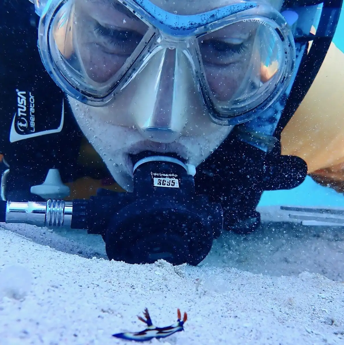Tangalooma Wrecks Adventure Tour